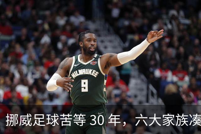 挪威足球苦等 30 年，六大家族凑世界杯主力，老国脚有啥绝招？